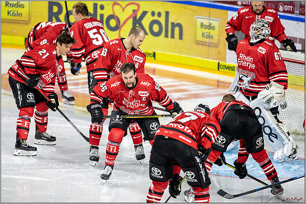 DEL; Koelner Haie - Straubing Tigers; Koeln, 17.11.2019